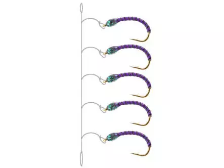 Renken Hegene SYNTQUILL ALL PURPLE 14
