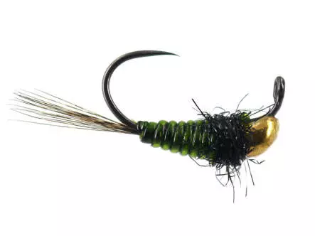 Javi TG Olive Ribbed Attractor BL