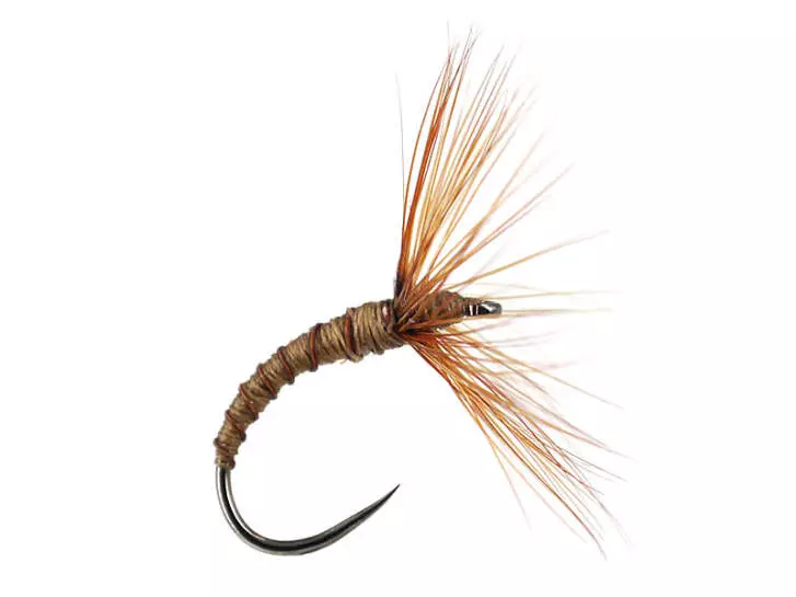 Sakasa Kebari Brown Ribbed