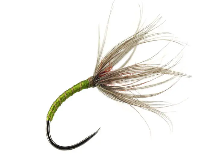 Sakasa Kebari Olive Mallard