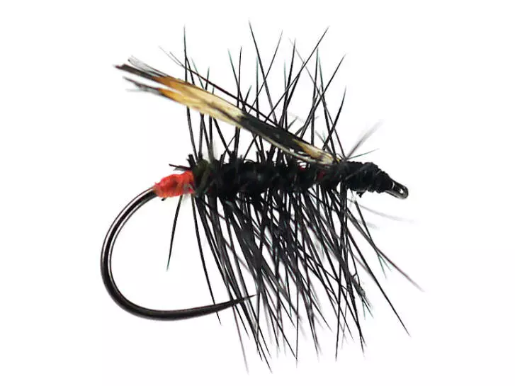Mauros G2 Grayling Rassid BL