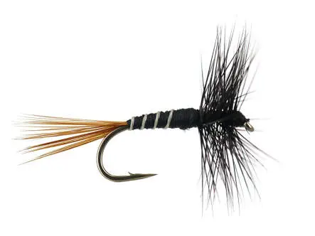French PL Black Ribbed 16