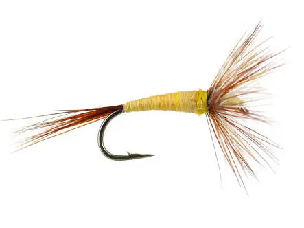 French PL Pale Yellow 14