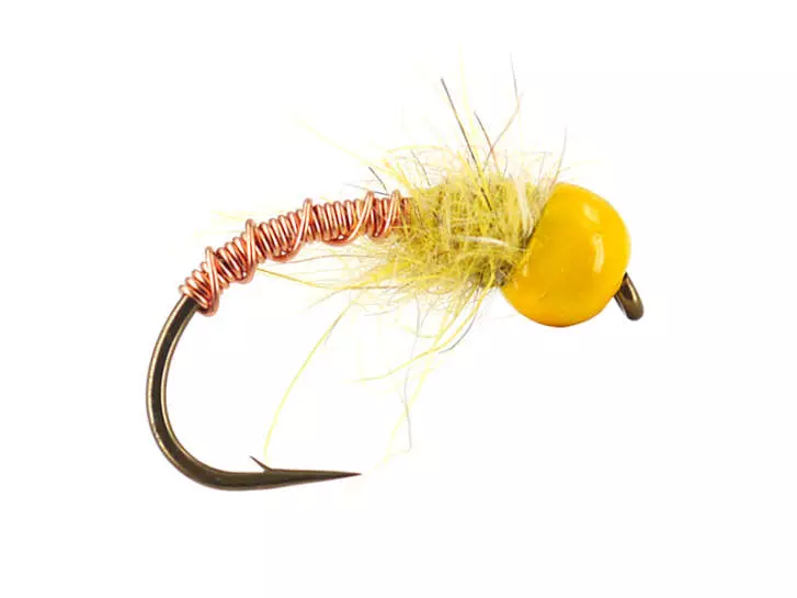 Yellow Nymphwonder