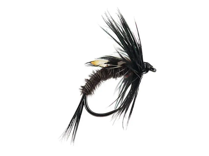 Pheasant Dark JC Nymph BL 12