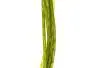 NATURFIL hotfly - 150 cm - Ø 0,6 mm - olive