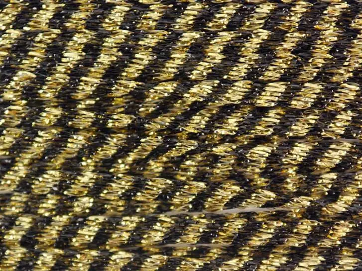 FISH SKIN textreme - 300 cm - gold / black-S