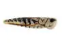 X-TRUE HOPPER BODIES hotfly - 5 pc. - S - grey