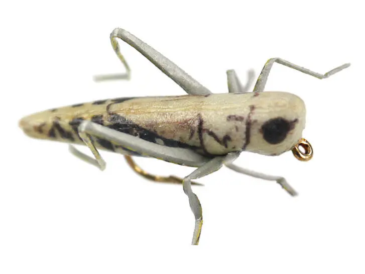 X-true Hopper Grey 8