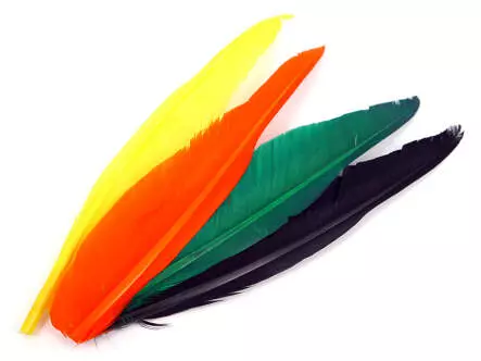 GÄNSEKIELFEDER (GOOSE QUILL FEATHER) hotfly - 1 Stk....