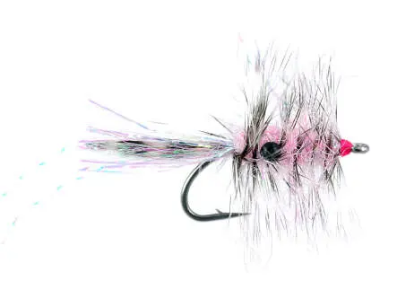 Polar Chenille Shrimp Pink