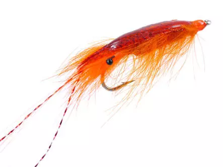Agerskov Epoxy Mallard Shrimp Orange 4