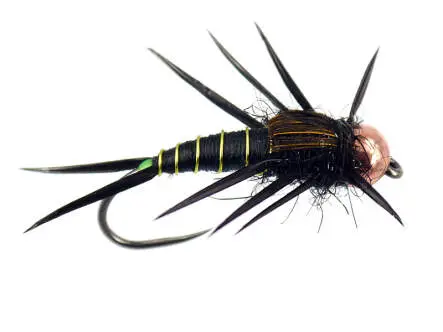 Black Elite Stonefly Nymph TG BL 4