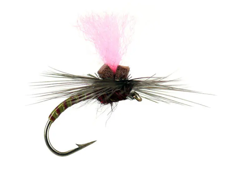 Olive Synquill Klinkhamer 14