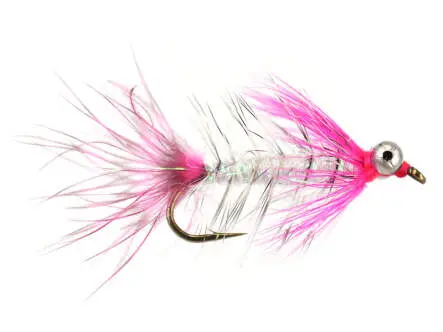 MW Hot Magnus Pink 6