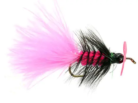 Pink Hot Wooly Bugger Evo 6