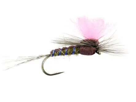 Grey Olive High-Viz Paradream BL