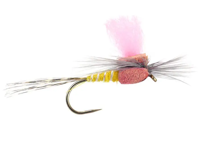 Yellow High-Viz Paradream BL 10