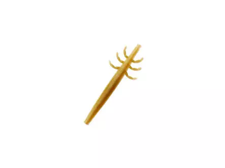 J:son Realistic Caddis Larvae nymph backs - CL3 - 12 pc....