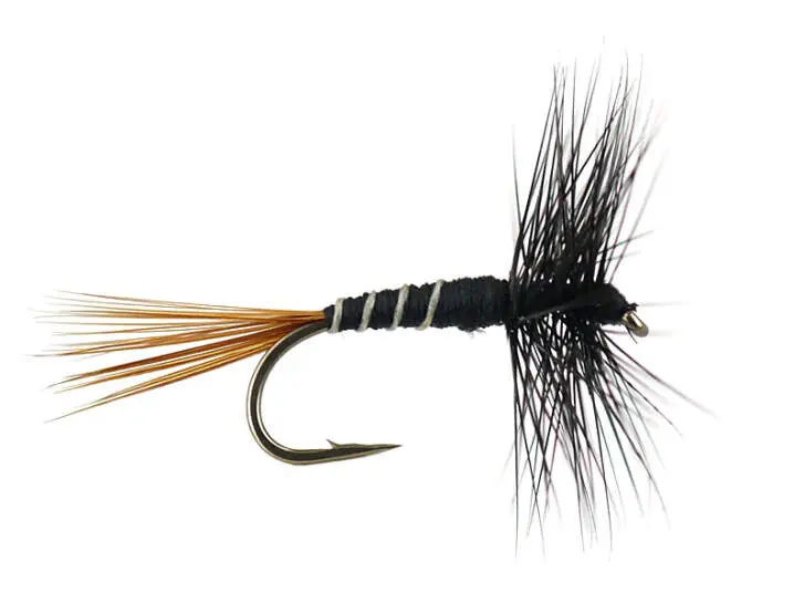 French PL Black Ribbed 12