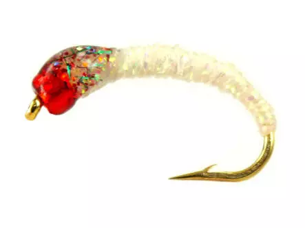 Alosa Agone Hegene PEARL BRAID