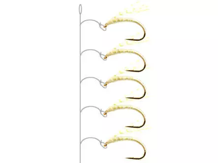 Alosa Agone Hegene ULTRA VIOLET CHAMP