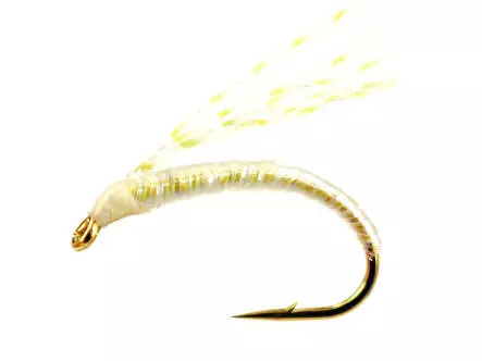 Alosa Agone Hegene ULTRA VIOLET CHAMP