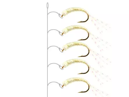 Alosa Agone Hegene ALL PEARL