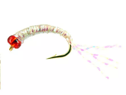 Alosa Agone Hegene PEARL RED HEAD