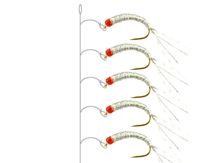 Alosa Agone Hegene SILVER RED HEAD