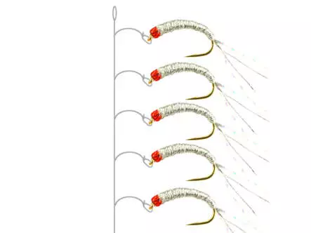 Alosa Agone Hegene SILVER RED HEAD