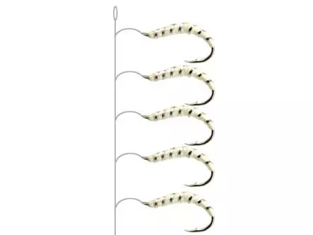 Alosa Agone Hegene ALL WHITE