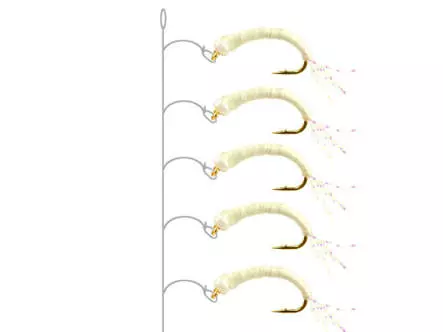 Alosa Agone Hegene EVER GLOW