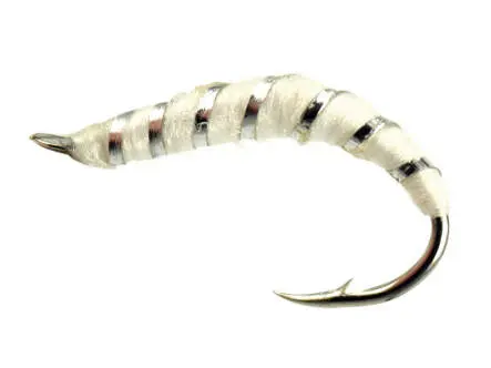 Alosa Agone Hegene ALL WHITE 12