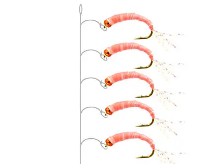 Alosa Agone Hegene PINK GLOWING 12