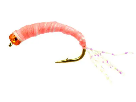 Alosa Agone Hegene PINK GLOWING 12