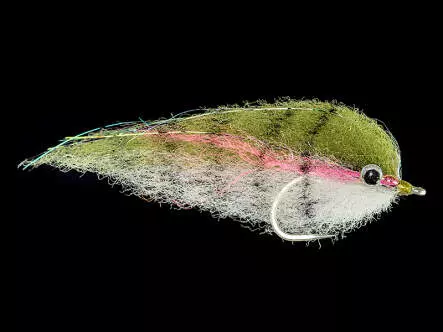 Bait King Rainbow Trout - 8-12 cm