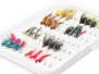 Set NASSFLIEGEN EVERY DAY - 24 Fliegen mit Box