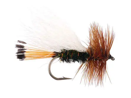 White Peacock Caddis