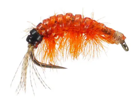 Body Glass Gammarus Orange