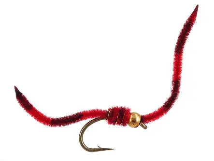 Tiger Worm - Red