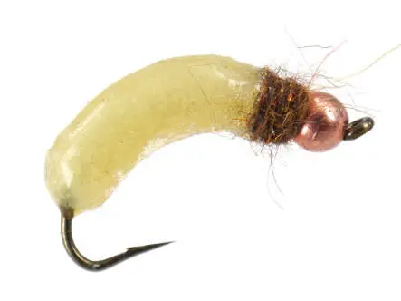 Silvermans Crane Fly Larva - Cream