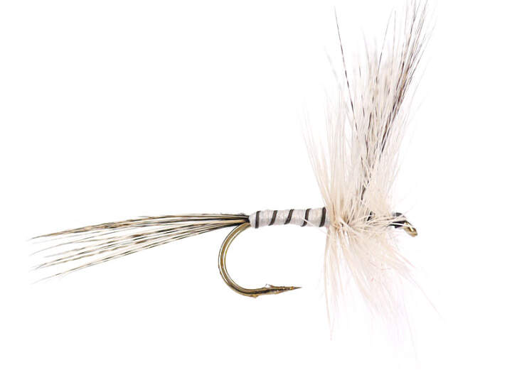 Fliegenfischen‑Köderset 5‑teilig – Mit Bunten Feder‑Haken Für Weißfisch, Grünling & Rotfeder