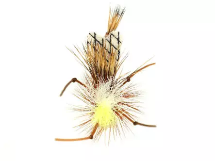 Trinas Carnage Attractor - Tan