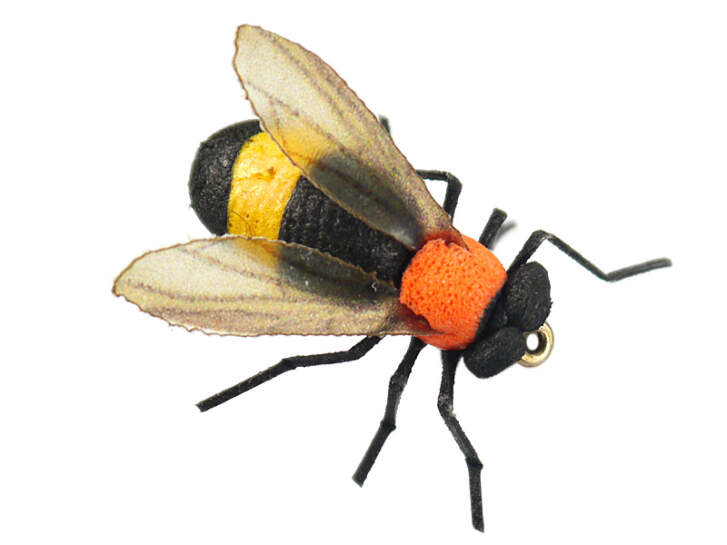 X-true Bumble Bee Orange