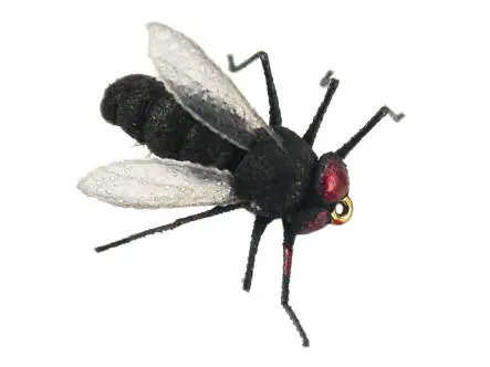 X-true Black Fly