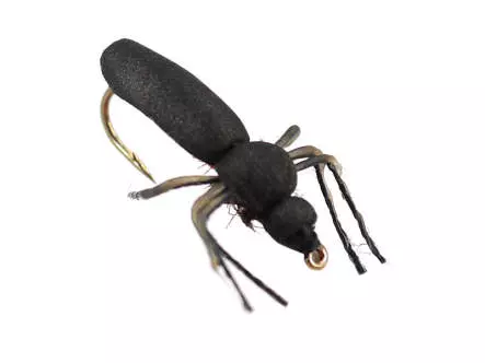 Fire Fly
