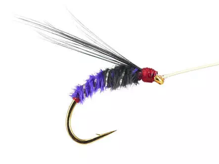 Gold Selection BI Violet