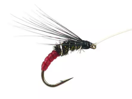 Franz Bipeack Red