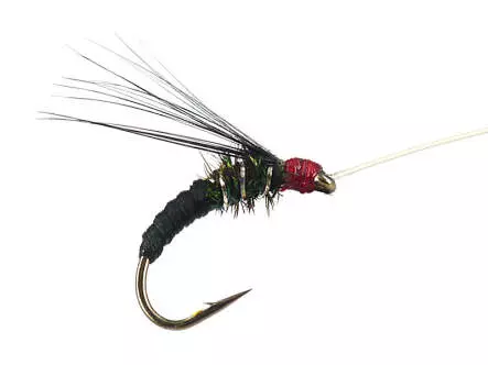 Franz Bipeack Black